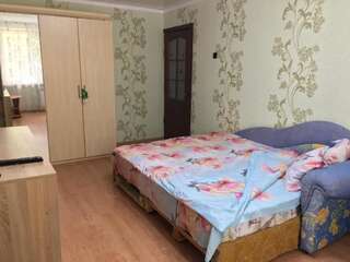 Апартаменты Однокомнатная квартира на кв Волкова Луганск Апартаменты с 1 спальней-12